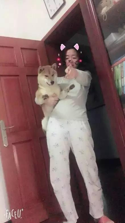 軟板廠之爸媽，我真的是你們親生的嗎？