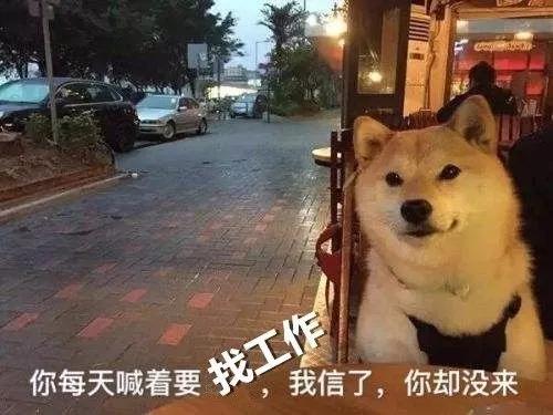招聘 | 這是一道送錢題，有膽你就來！